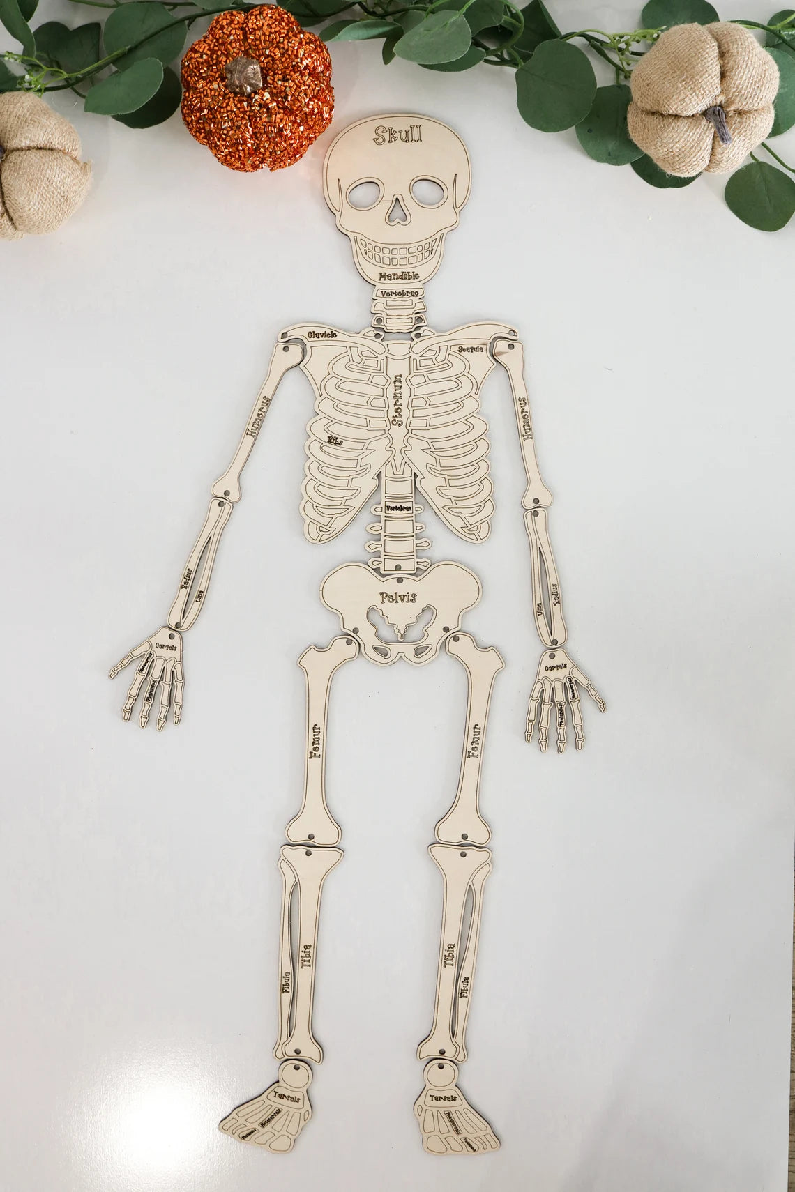 DIY Build your own Skeleton