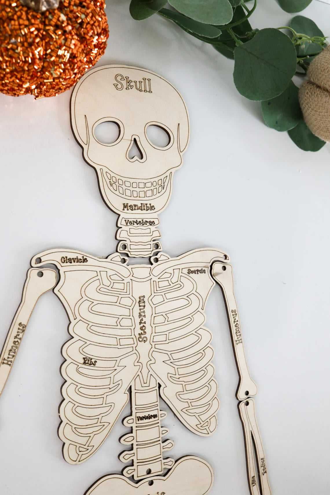 DIY Build your own Skeleton