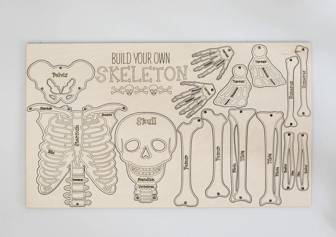 DIY Build your own Skeleton